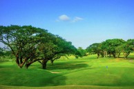 Mimosa Plus Golf Course - Green